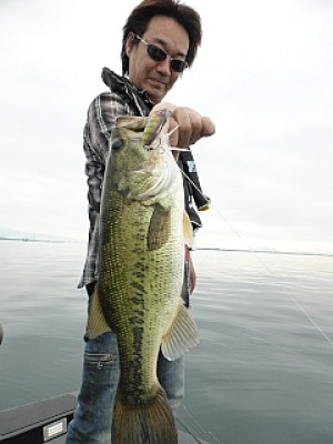 truth news ブログ写真 2013/06/18