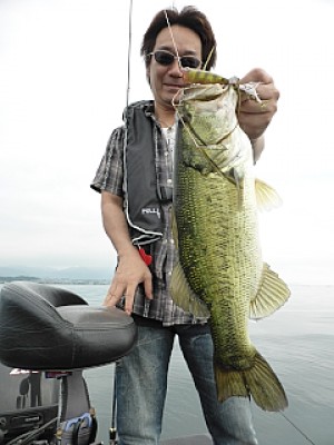 truth news ブログ写真 2013/06/18