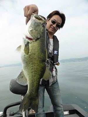 truth news ブログ写真 2013/06/18