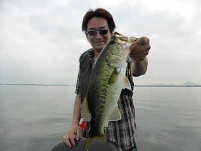 truth news ブログ写真 2013/06/18