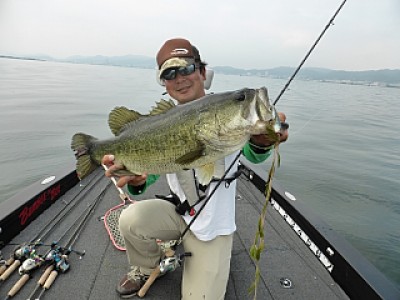 truth news ブログ写真 2013/06/18