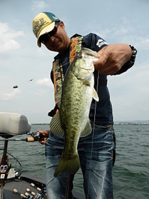 truth news ブログ写真 2013/06/19