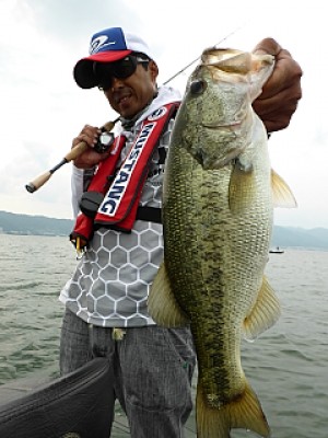 truth news ブログ写真 2013/06/19