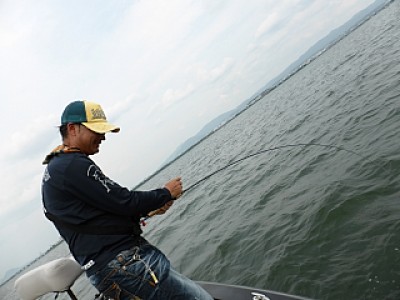 truth news ブログ写真 2013/06/19