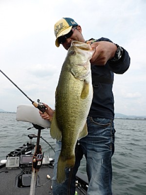 truth news ブログ写真 2013/06/19