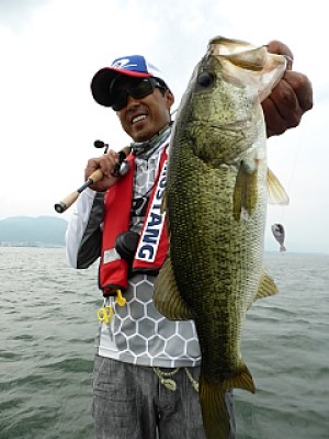 truth news ブログ写真 2013/06/19