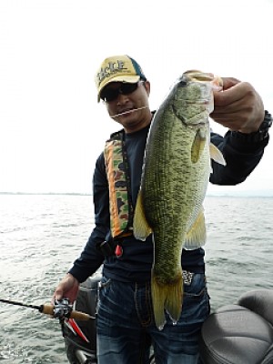 truth news ブログ写真 2013/06/19