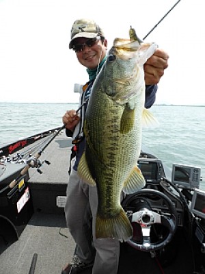 truth news ブログ写真 2013/06/19