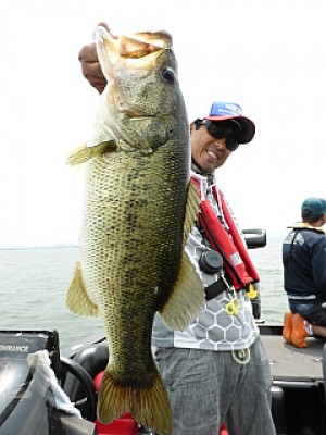 truth news ブログ写真 2013/06/19