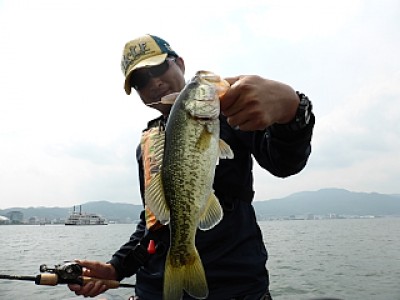 truth news ブログ写真 2013/06/19