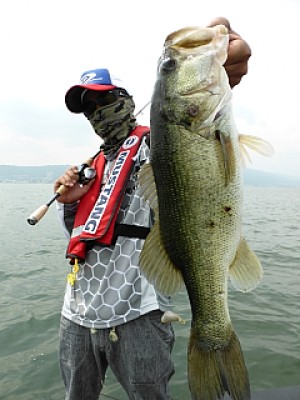 truth news ブログ写真 2013/06/19