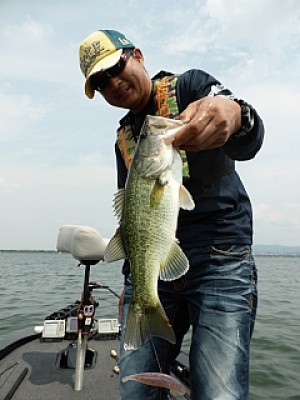 truth news ブログ写真 2013/06/19