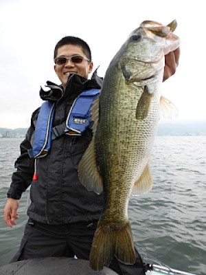 truth news ブログ写真 2013/06/19