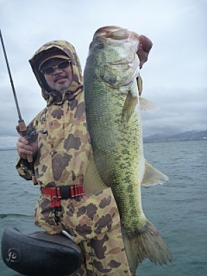 truth news ブログ写真 2013/06/20