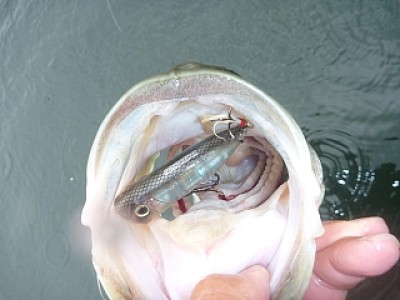 truth news ブログ写真 2013/06/20