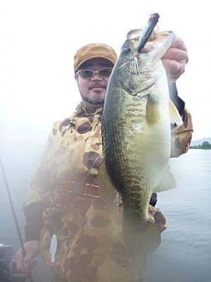 truth news ブログ写真 2013/06/20