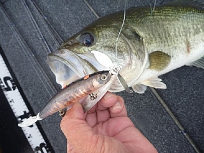 truth news ブログ写真 2013/06/20