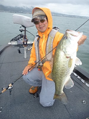 truth news ブログ写真 2013/06/20