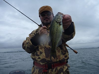 truth news ブログ写真 2013/06/20