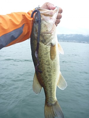 truth news ブログ写真 2013/06/20