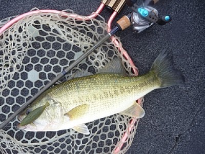 truth news ブログ写真 2013/06/20