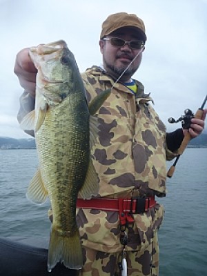 truth news ブログ写真 2013/06/20