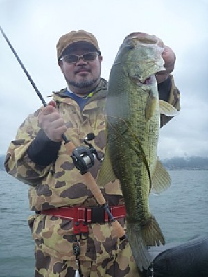 truth news ブログ写真 2013/06/20