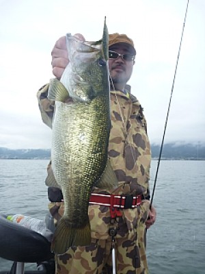 truth news ブログ写真 2013/06/20