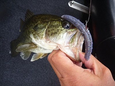 truth news ブログ写真 2013/06/22