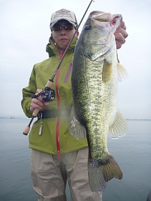 truth news ブログ写真 2013/06/22