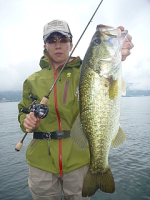 truth news ブログ写真 2013/06/22