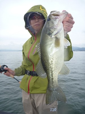 truth news ブログ写真 2013/06/22