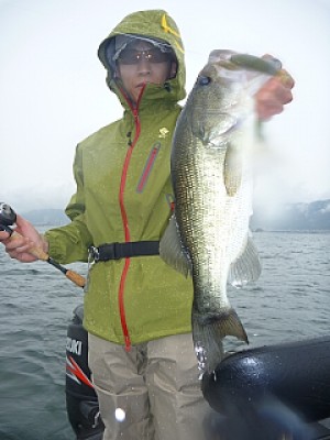 truth news ブログ写真 2013/06/22