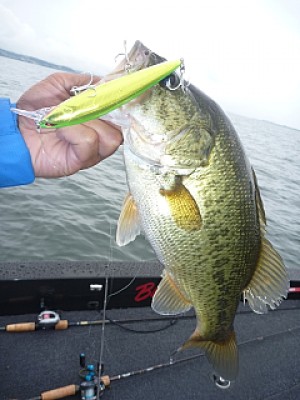 truth news ブログ写真 2013/06/22