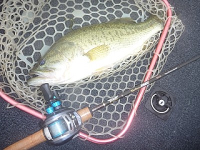 truth news ブログ写真 2013/06/22