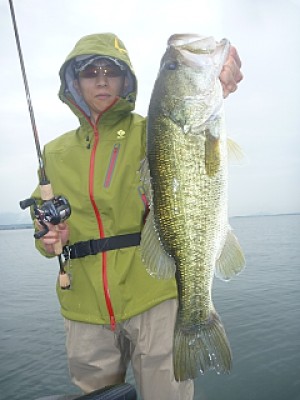 truth news ブログ写真 2013/06/22