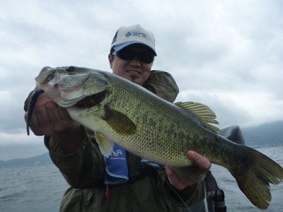 truth news ブログ写真 2013/06/22