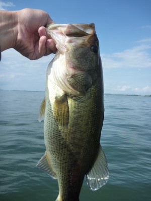 truth news ブログ写真 2013/06/22