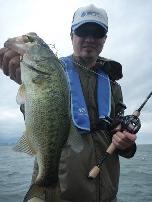 truth news ブログ写真 2013/06/22