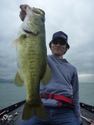 truth news ブログ写真 2013/06/22