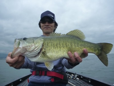 truth news ブログ写真 2013/06/22