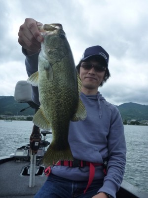 truth news ブログ写真 2013/06/22