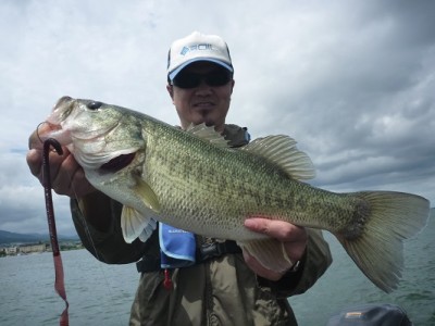 truth news ブログ写真 2013/06/22