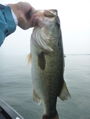 truth news ブログ写真 2013/06/23