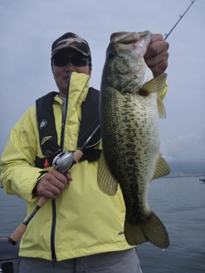 truth news ブログ写真 2013/06/23