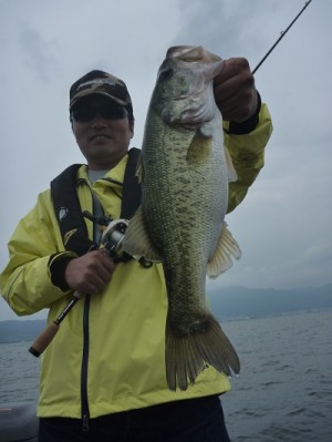 truth news ブログ写真 2013/06/23