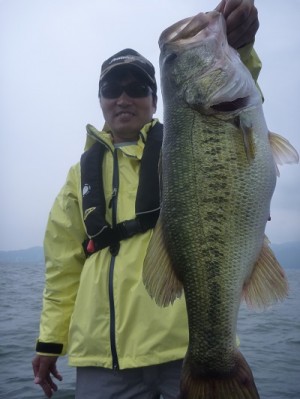 truth news ブログ写真 2013/06/23