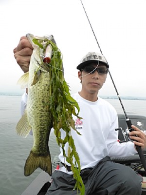 truth news ブログ写真 2013/06/24