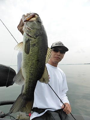 truth news ブログ写真 2013/06/24