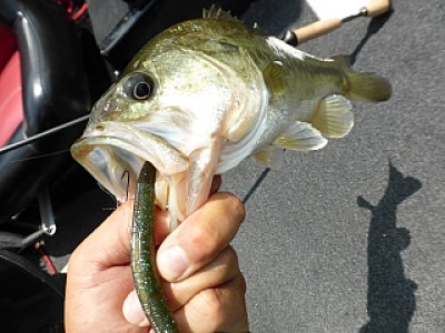 truth news ブログ写真 2013/06/24